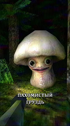 Пахомистый груздь