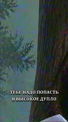 часть 229, 23 с