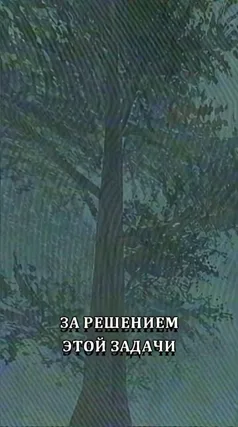 часть 229, 21 с