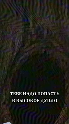 часть 229, 25 с
