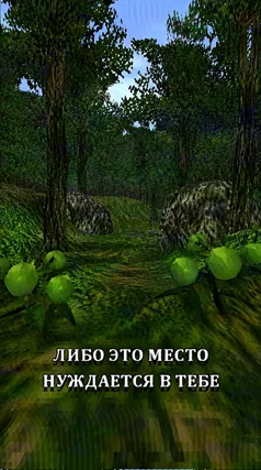 13 с часть 231, 13 с
