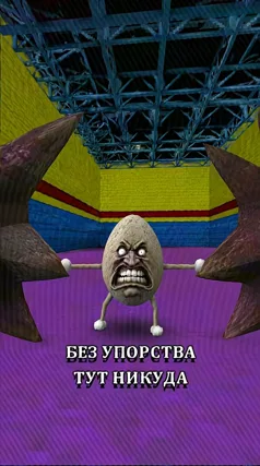 25 с часть 231, 25 с