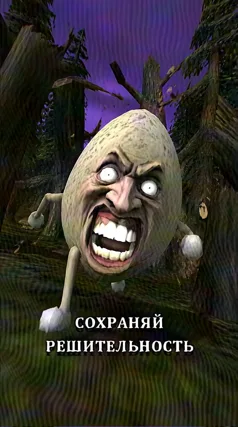 41 с часть 231, 41 с