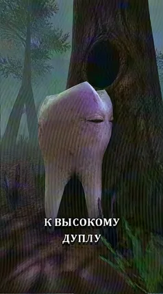 21 с часть 237, 21 с