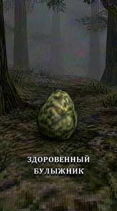 12 с часть 239, 12 с