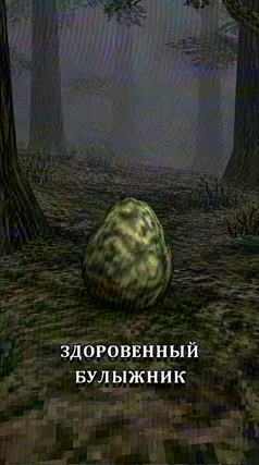 13 с часть 239, 13 с
