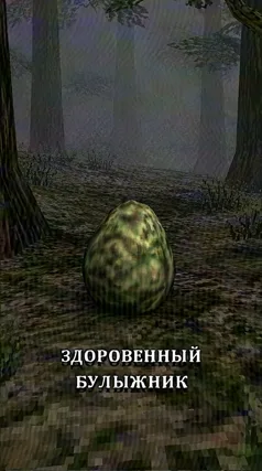 Здоровенный булыжник