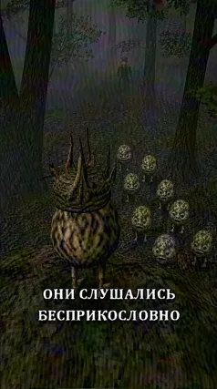 15 с часть 240, 15 с
