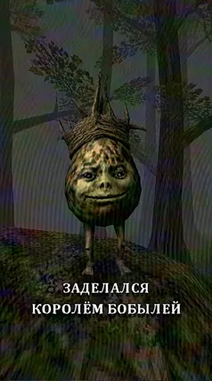 13 с часть 240, 13 с