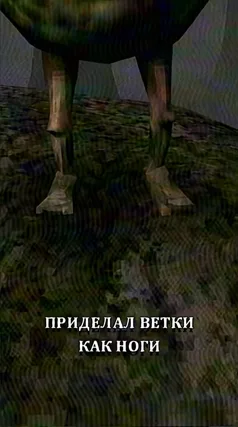 Ветки как ноги