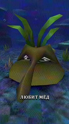 Мёд