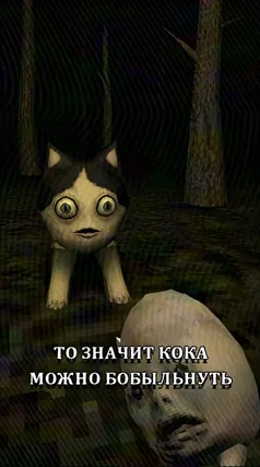 Кок