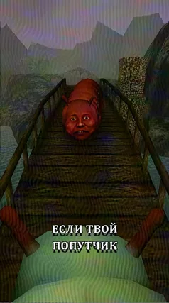 Попутчик