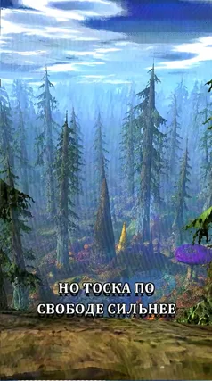 14 с часть 255, 14 с