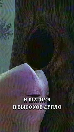 часть 256, 4 с